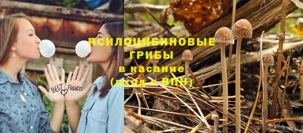 гидропоника Абинск