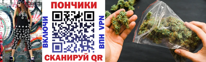 что такое наркотик  мега вход  Шишки марихуана планчик  даркнет как зайти  Кизляр 